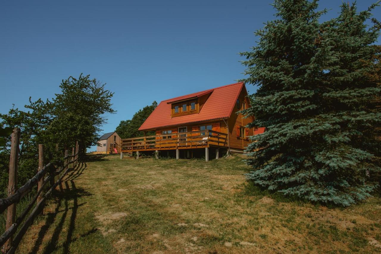 Villa Widokowka Kaszuby à Mirachowo Extérieur photo